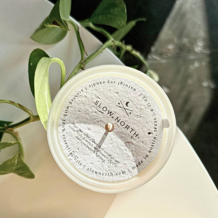 Forest Bathing (Fir, Patchouli, Pine) Non-Toxic Candle