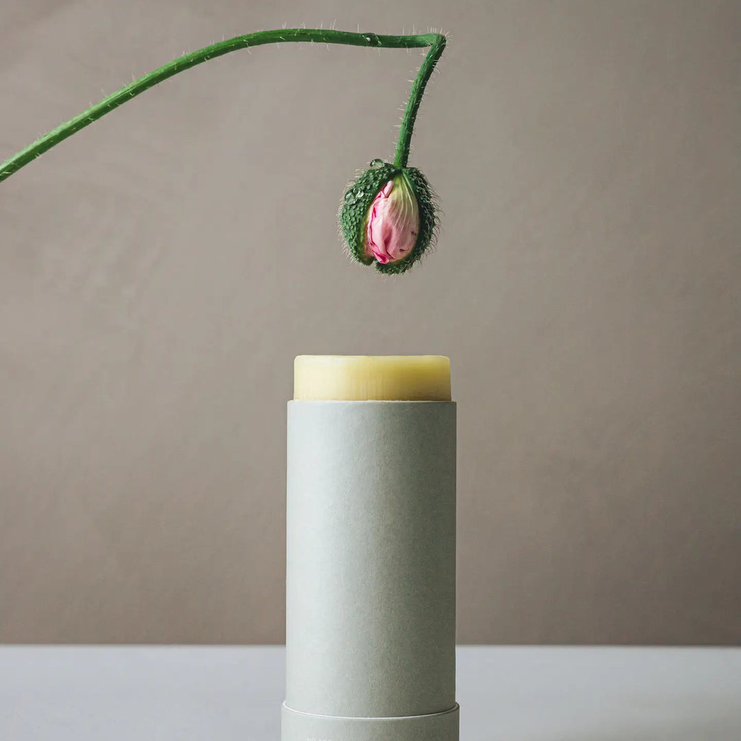Organic Barrier Balm by Cedar and Myrrh