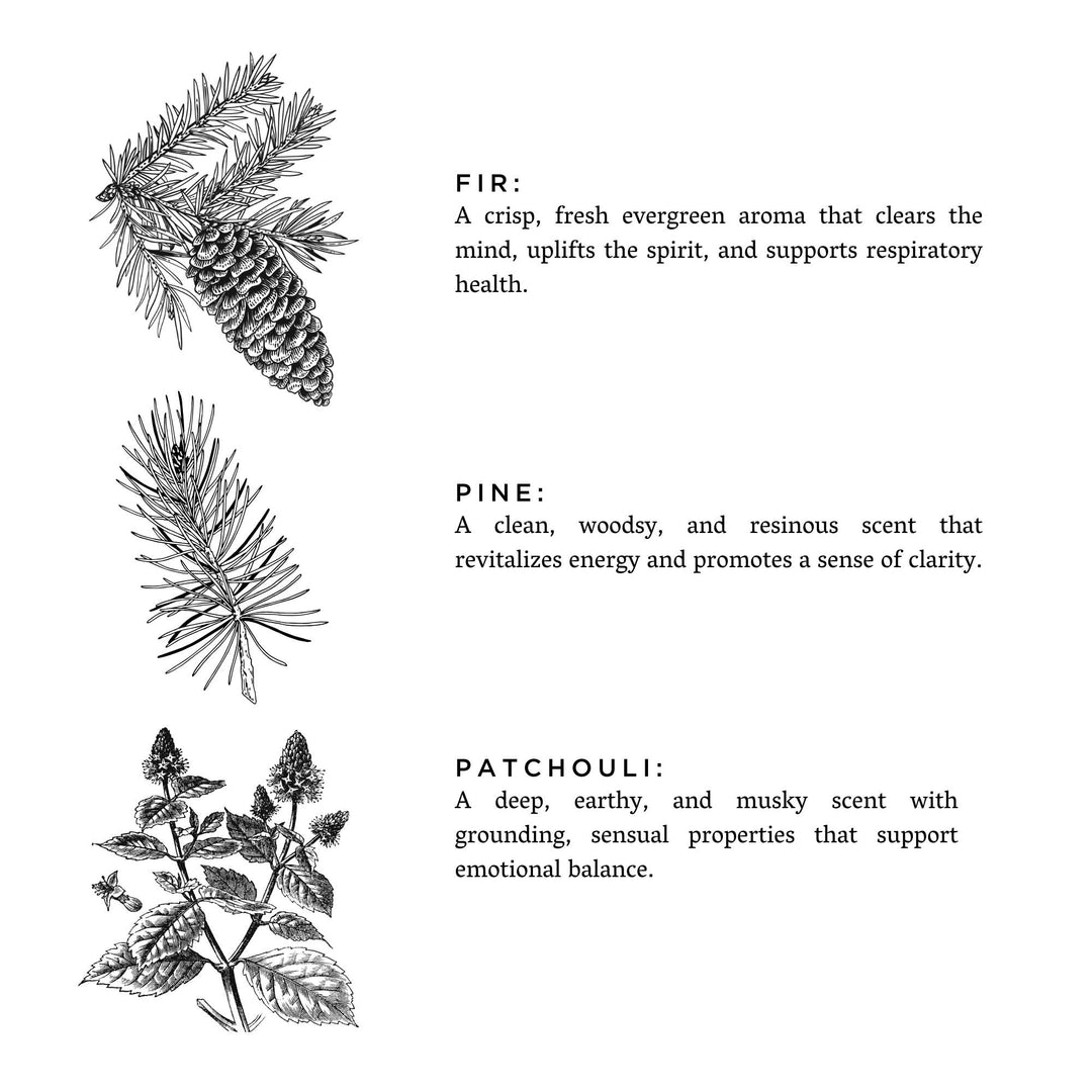 Illustrations of fir, pine, and patchouli with descriptive text on a white background