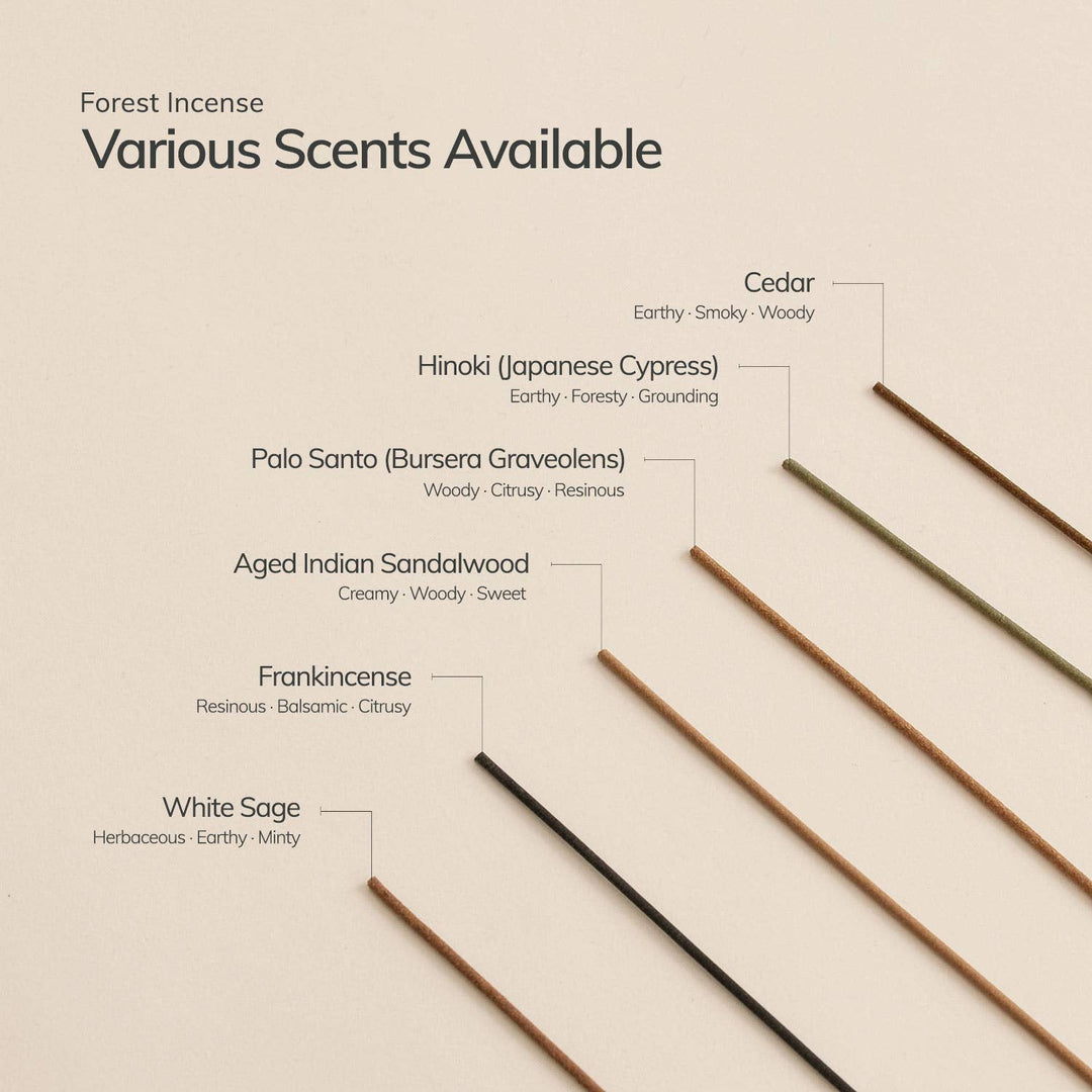 Incense sticks with scents labeled on a beige background