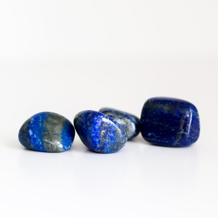 A collection of polished Lapis Lazuli tumblestones displayed on a white background.