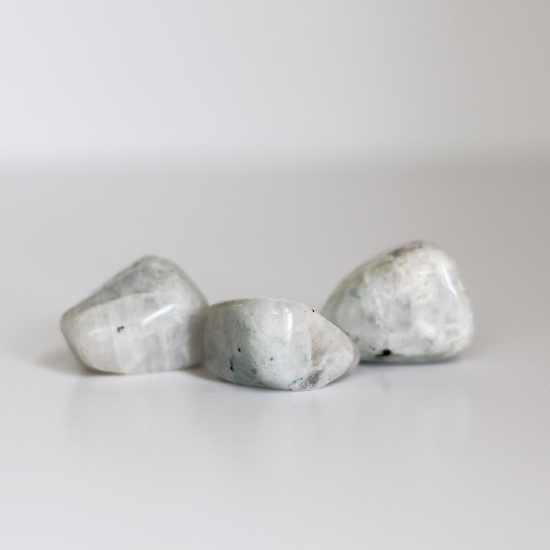 A polished Rainbow Moonstone tumblestone with a smooth, iridescent surface displaying flashes of light.