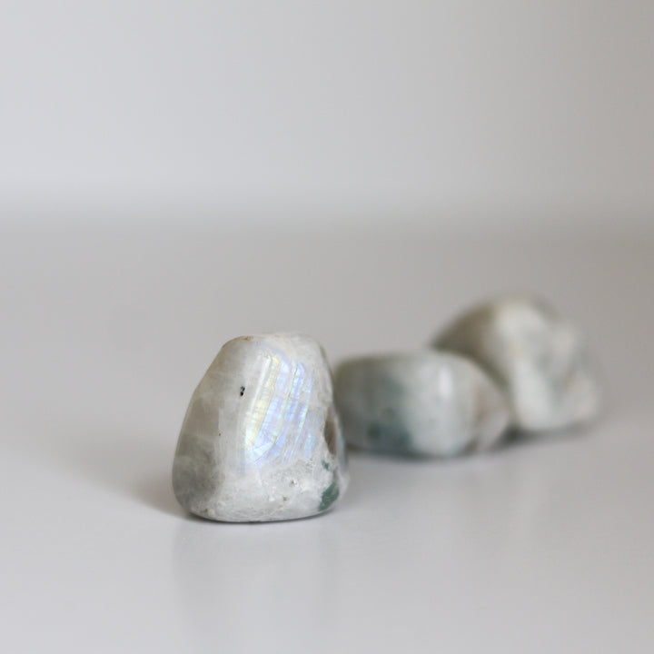 A polished Rainbow Moonstone tumblestone with a smooth, iridescent surface displaying flashes of light.